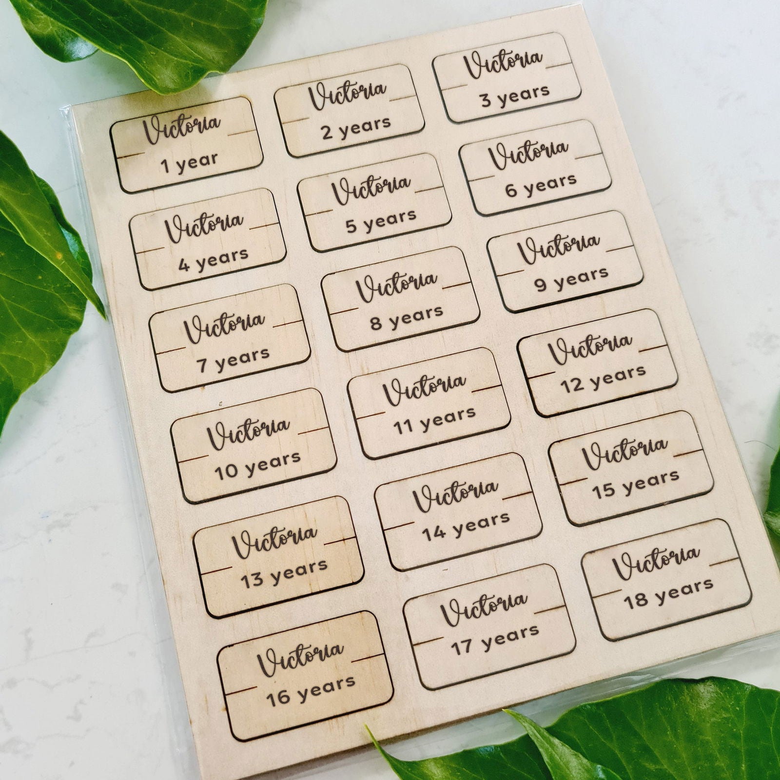 Personalized Cute Giraffe Wooden Growth Chart for Kids GC02 - Kindlytoys